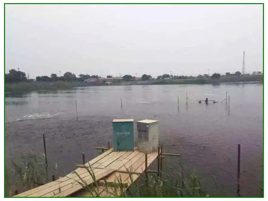 �_�����ſՉ��C(j��)����(w��)���B(y��ng)ֳ�I(y��)